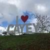 lisaylis